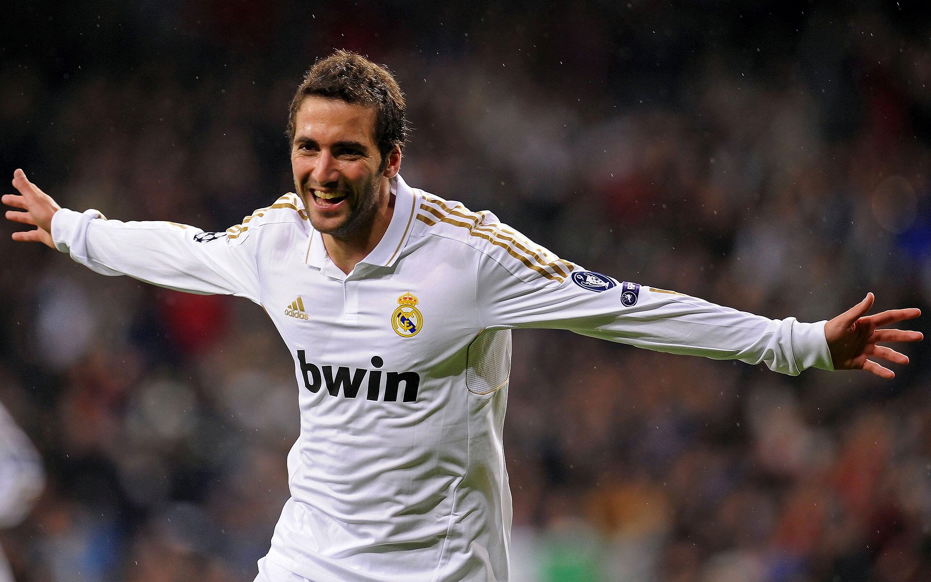 政策引导推动澳大利亚橄榄球持续发展,澳大利亚英式橄榄球联赛